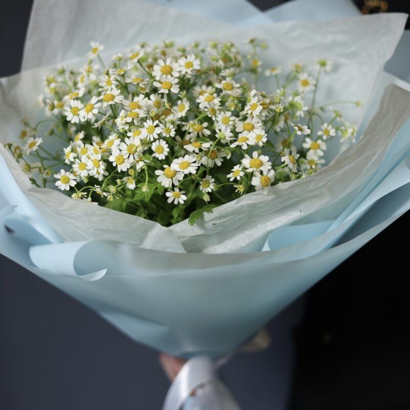 Букет кустовых ромашек
